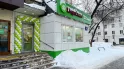 Гирлянда на входную зону в салатовом цвете
