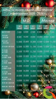 Дед Мороз и Снегурочка на дом