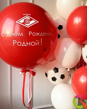 Сет «Спартак чемпион»