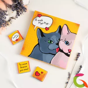 Набор 9 шоколадок Я тебя мур-мур