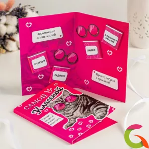 Открытка 4 шоколадки Самой классной(кошка)
